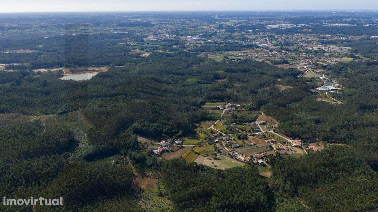 Ativo Imobiliário | Terreno 2,7 ha com Potencial Urbanístico | Águeda - Grande imagem: 5/13