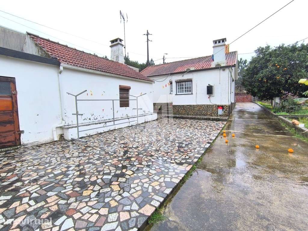 Moradia T3 térrea - Alvarães - Grande imagem: 2/18
