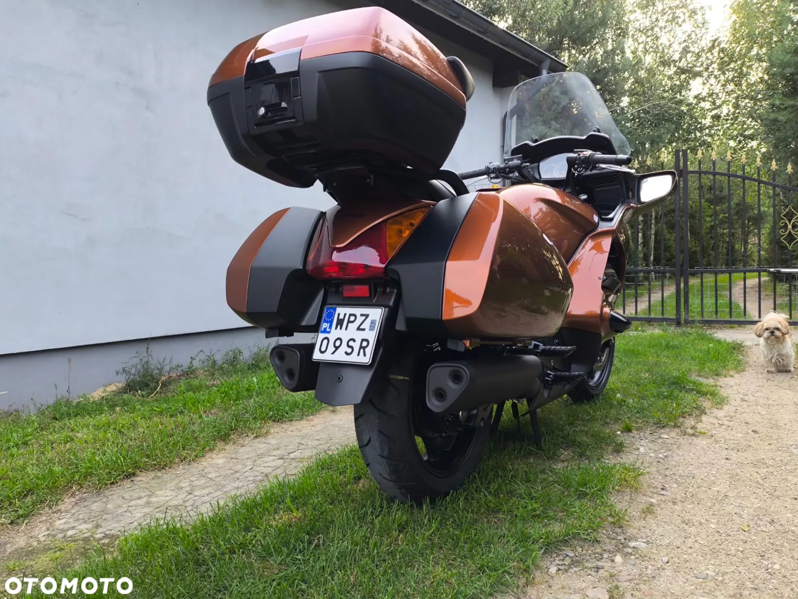 Honda ST - 10