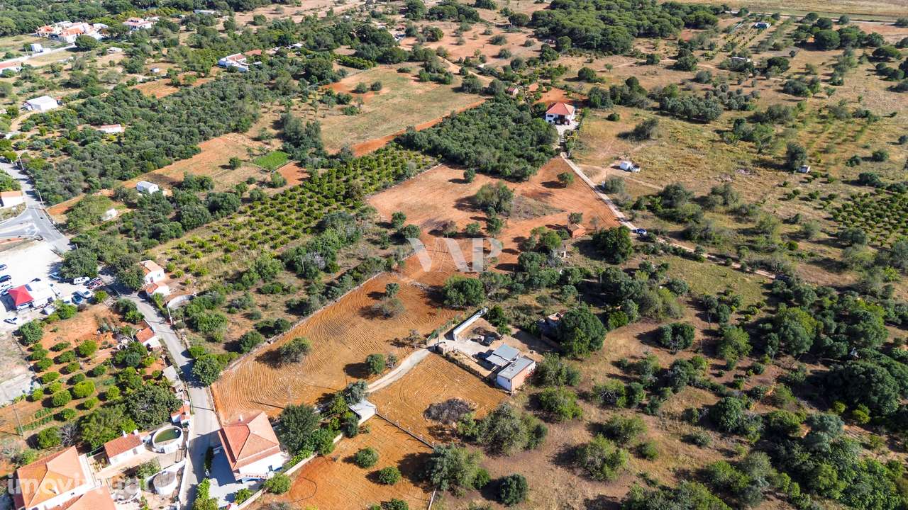 Terreno rústico para arrendamento - Grande imagem: 2/5