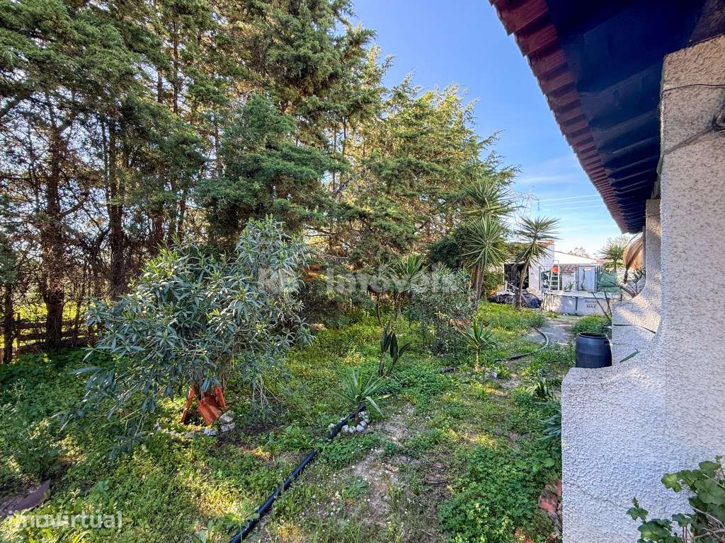 Moradia T4 estilo Chalé c/ Garagem e Jardim - Abrantes - Grande imagem: 5/60