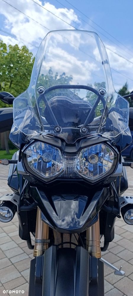 Triumph Tiger - 16