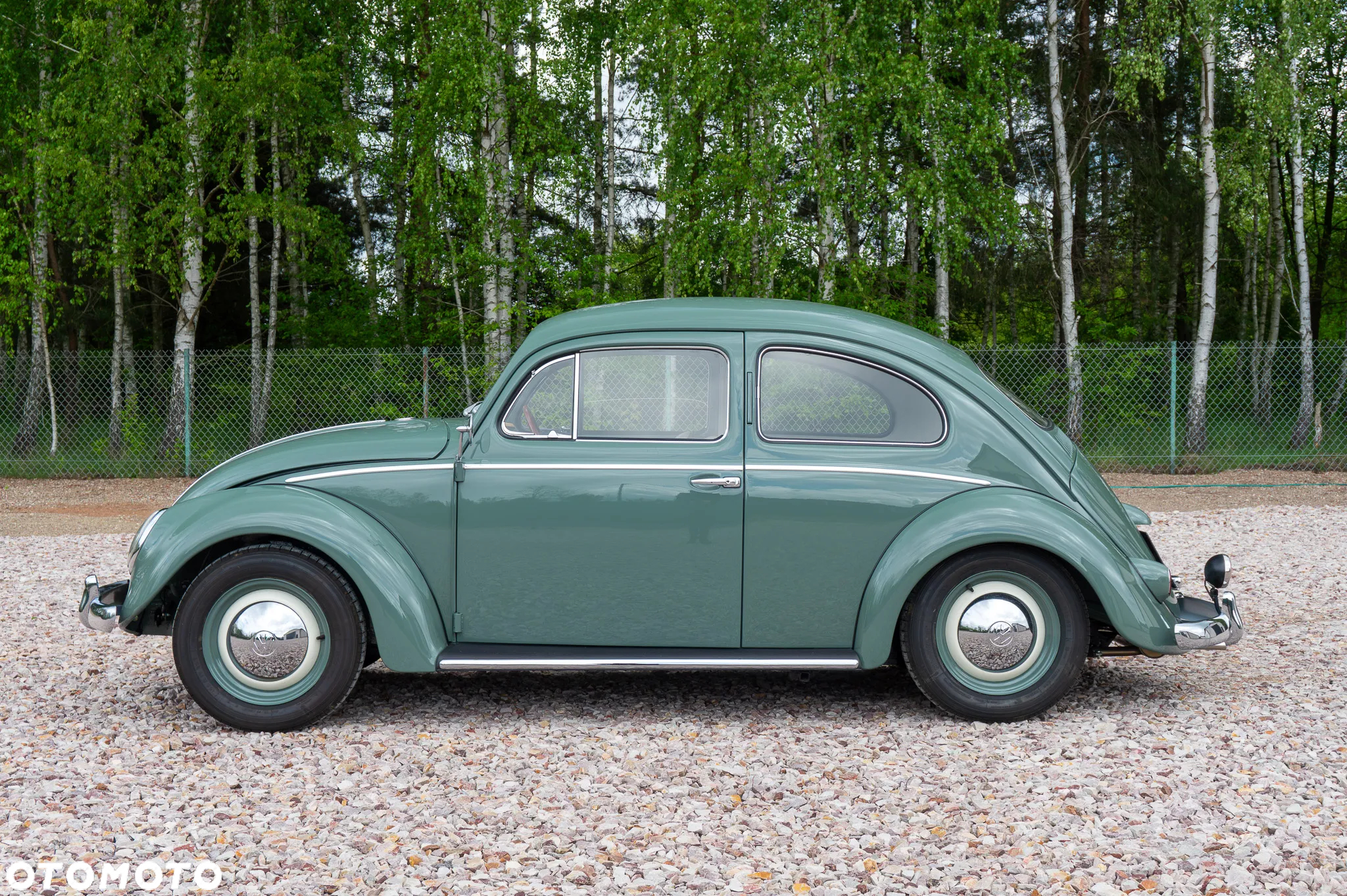 Volkswagen Garbus - 3