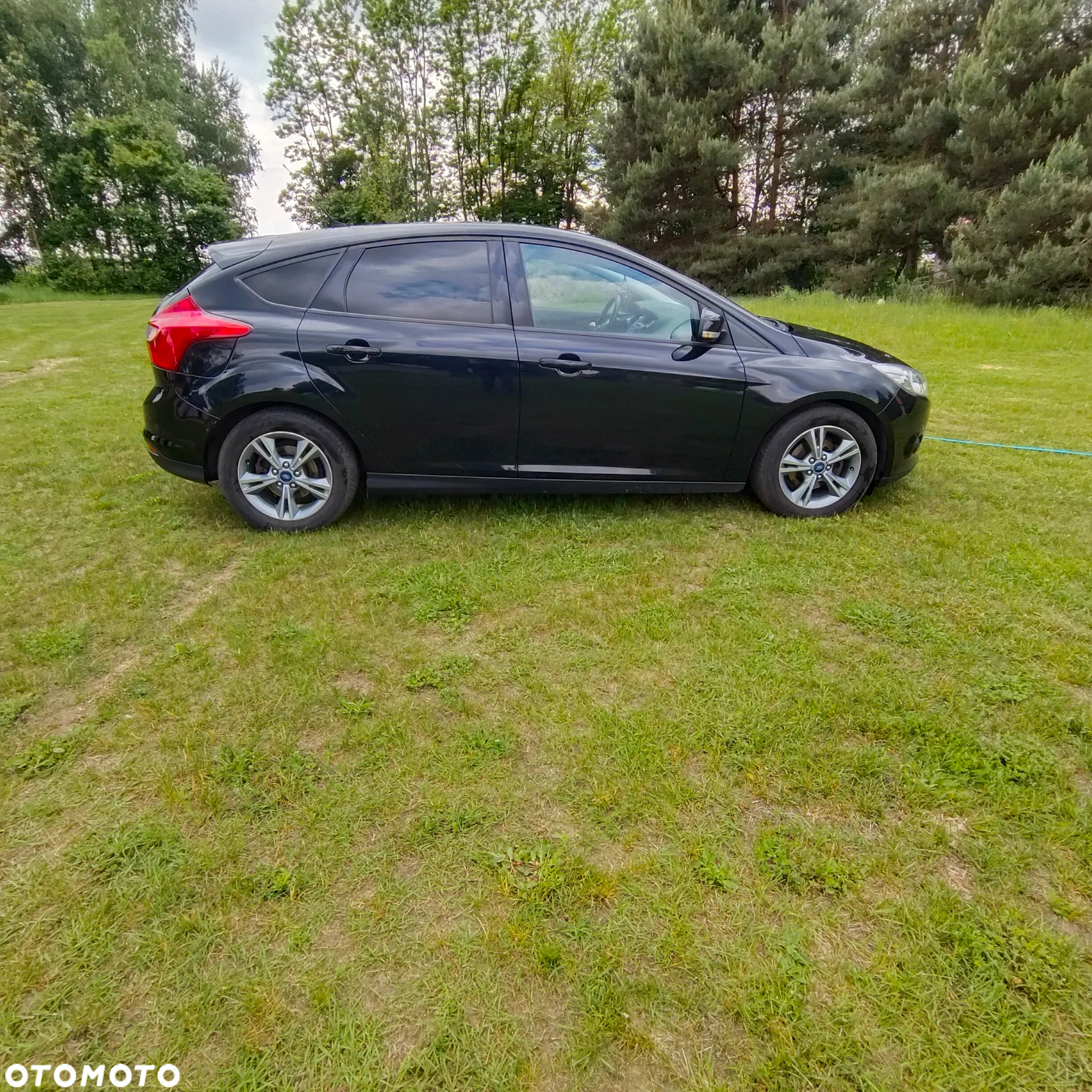 Ford Focus - 8
