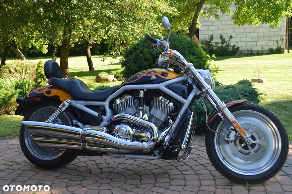 Harley-Davidson V-Rod Street Rod - 6
