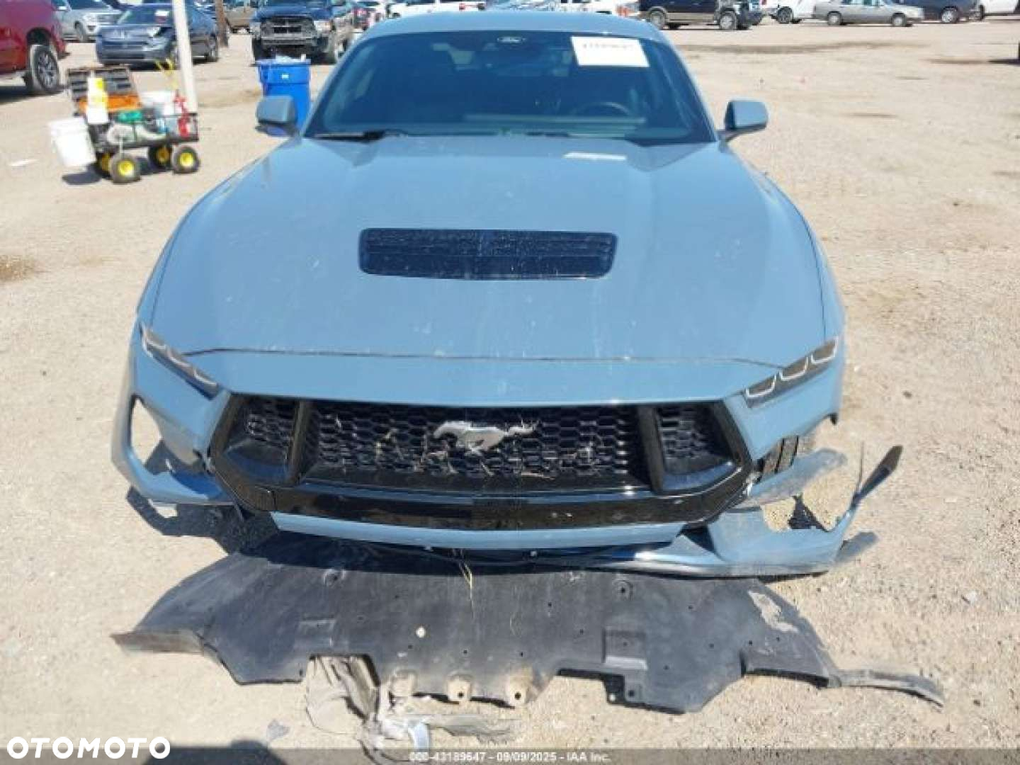 Ford Mustang - 8