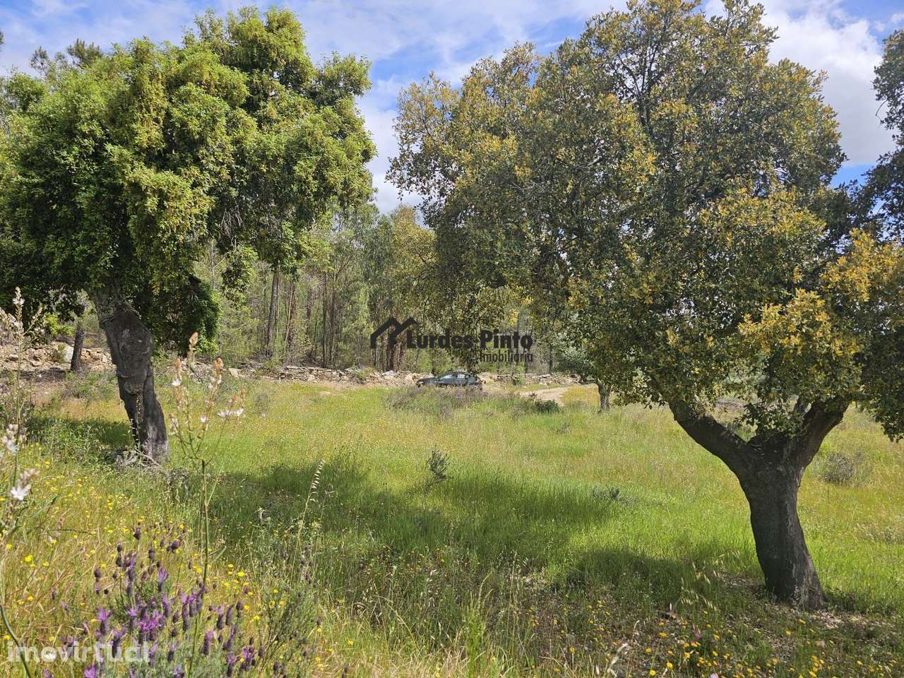 Terreno perto de Castelo Branco - Grande imagem: 5/10