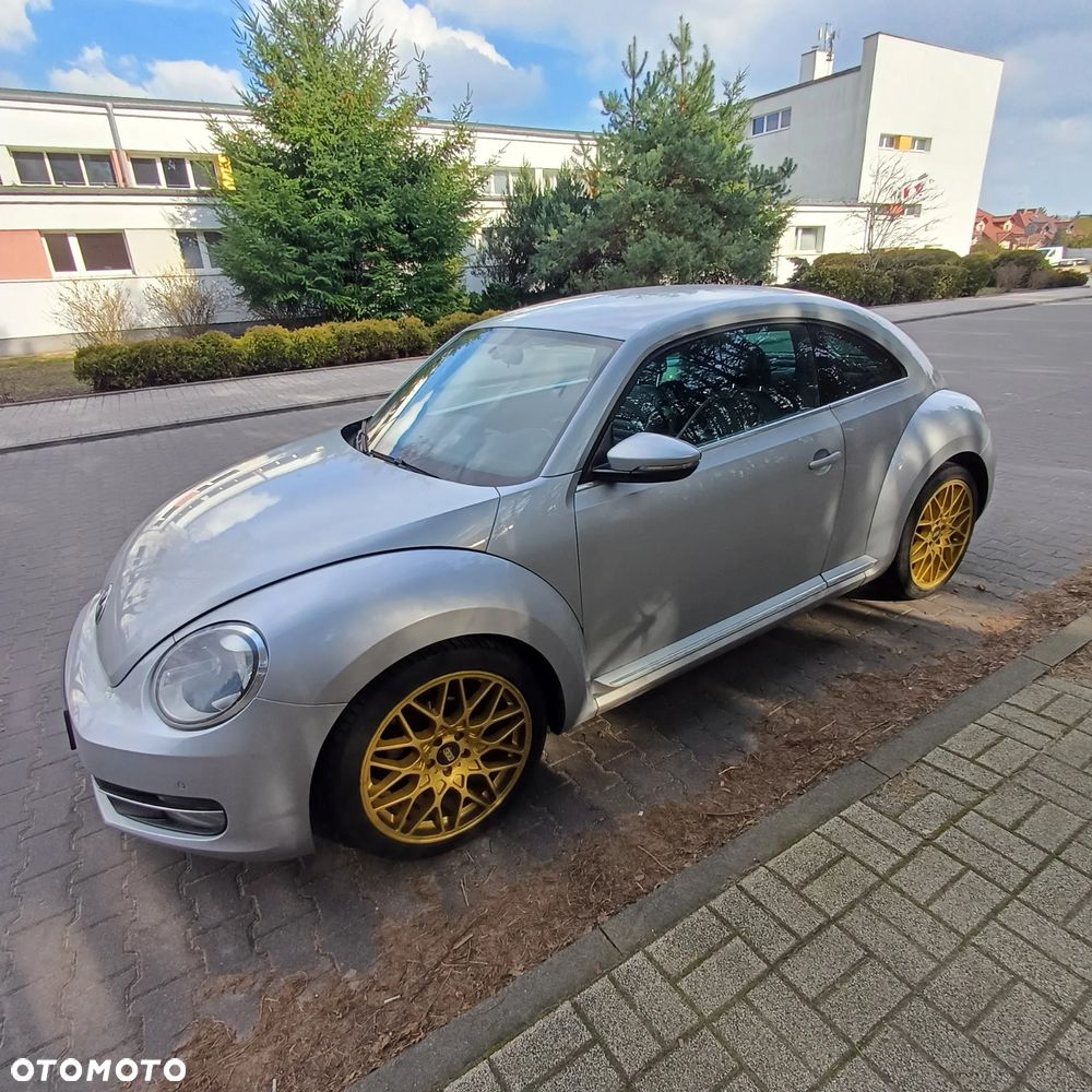 Volkswagen Beetle - 19