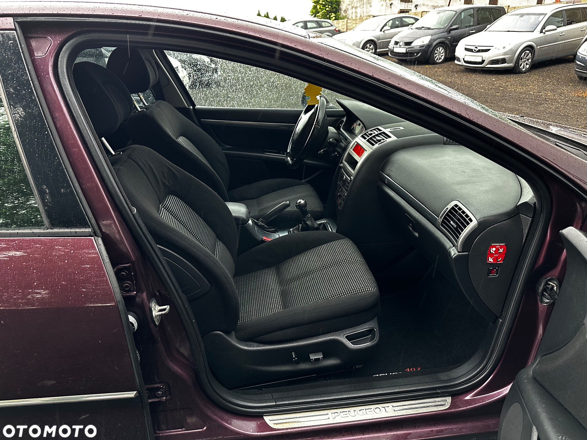 Peugeot 407 - 22