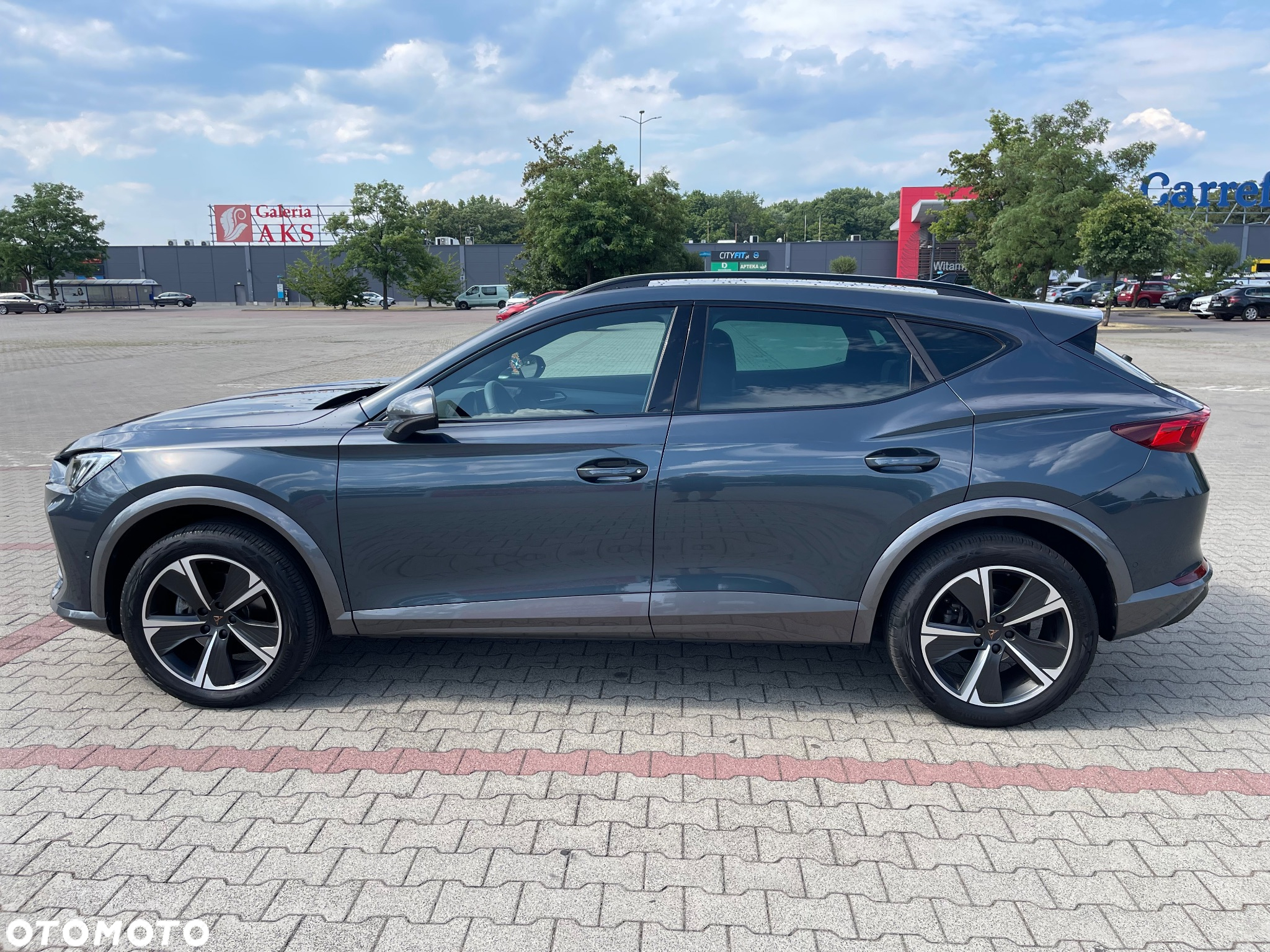 Cupra Formentor 1.5 TSI DSG - 13