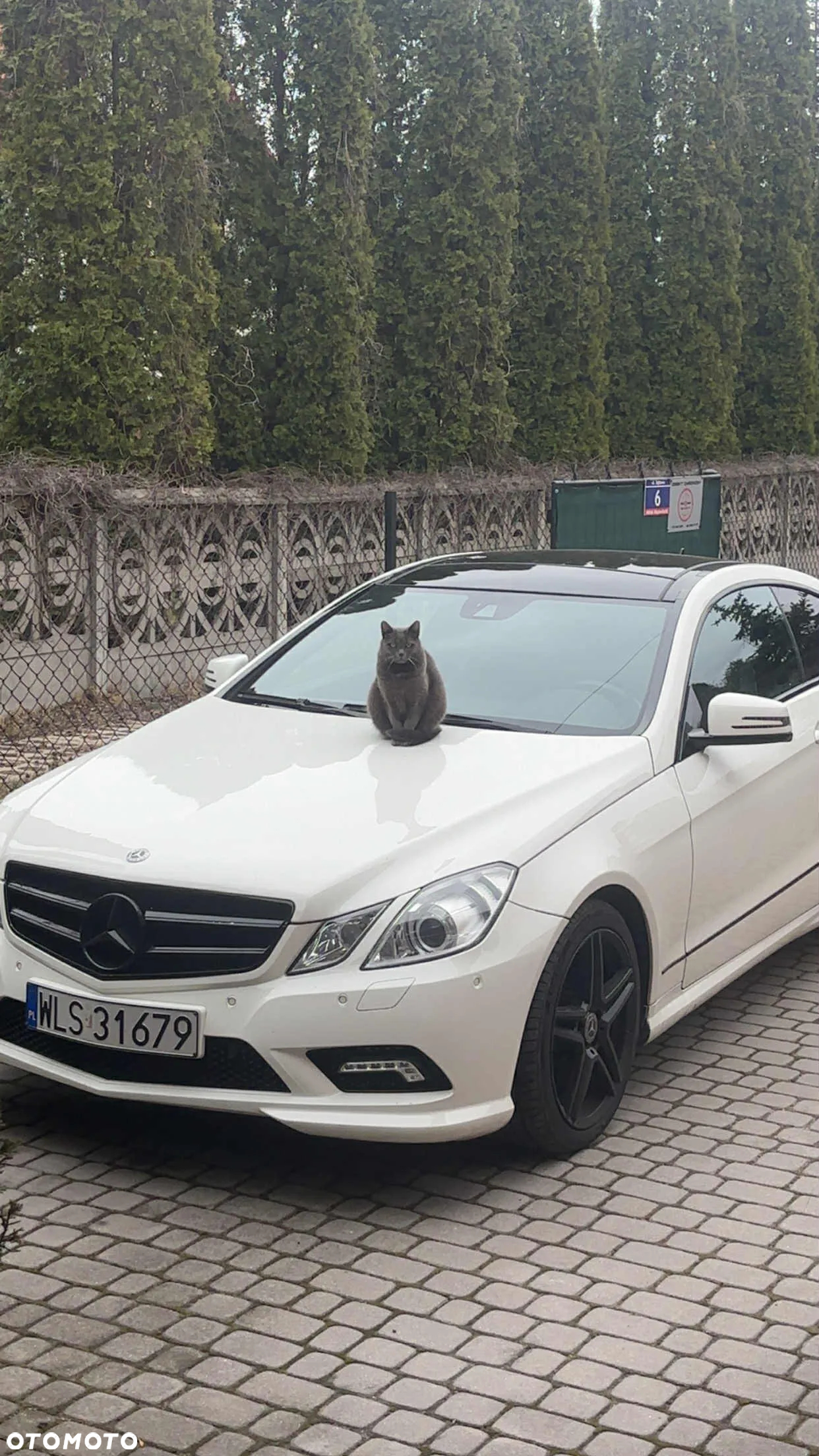 Mercedes-Benz Klasa E 350 CDI BlueEff - 19