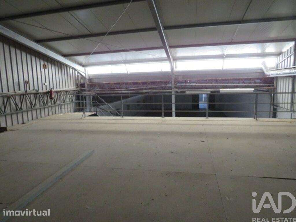 Hangar em Muge de 5460,00 m2 - Grande imagem: 4/19