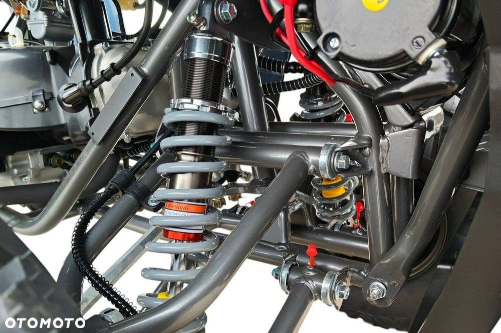Diabolini Inny - 13
