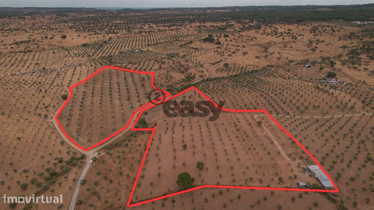 Vende-se Terreno agrícola com 49.750 m² (4,975 ha) em Portel, com oliv - Grande imagem: 3/3