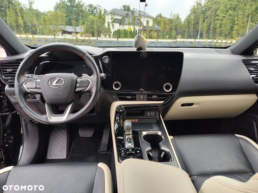 Lexus NX - 6
