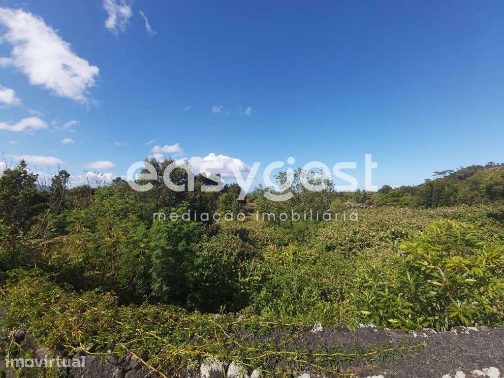 Terreno para construção de zona habitacional na Madalena do Pico - Grande imagem: 4/8