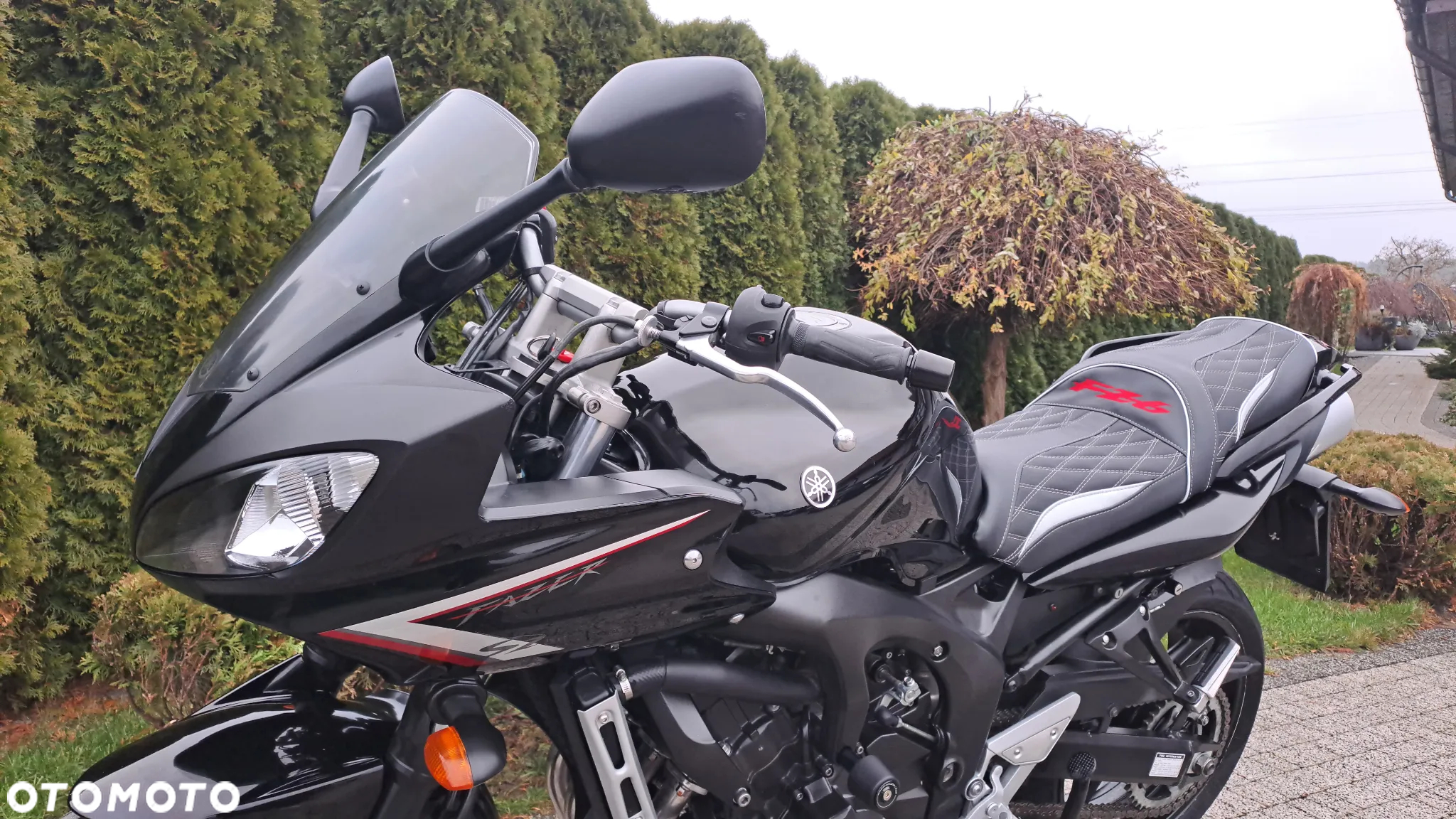 Yamaha FZ - 31