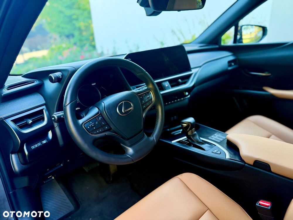 Lexus UX 250h GPF F Sport Design+ 2WD - 16