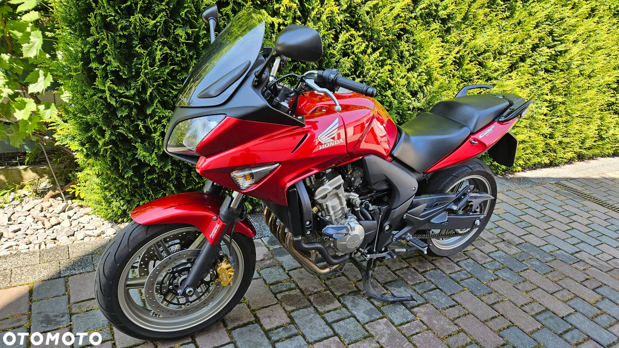 Honda CBF - 5