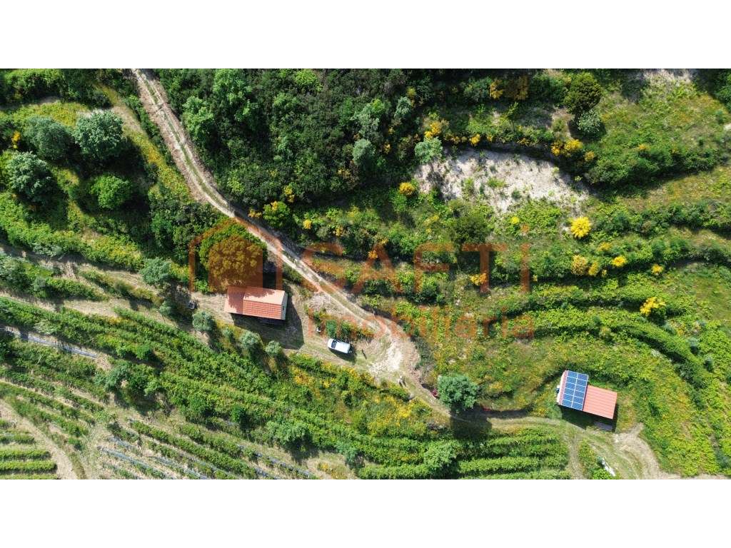 Propriedade Rural com cerca de 6 hectares com pequena residência de... - Grande imagem: 5/59