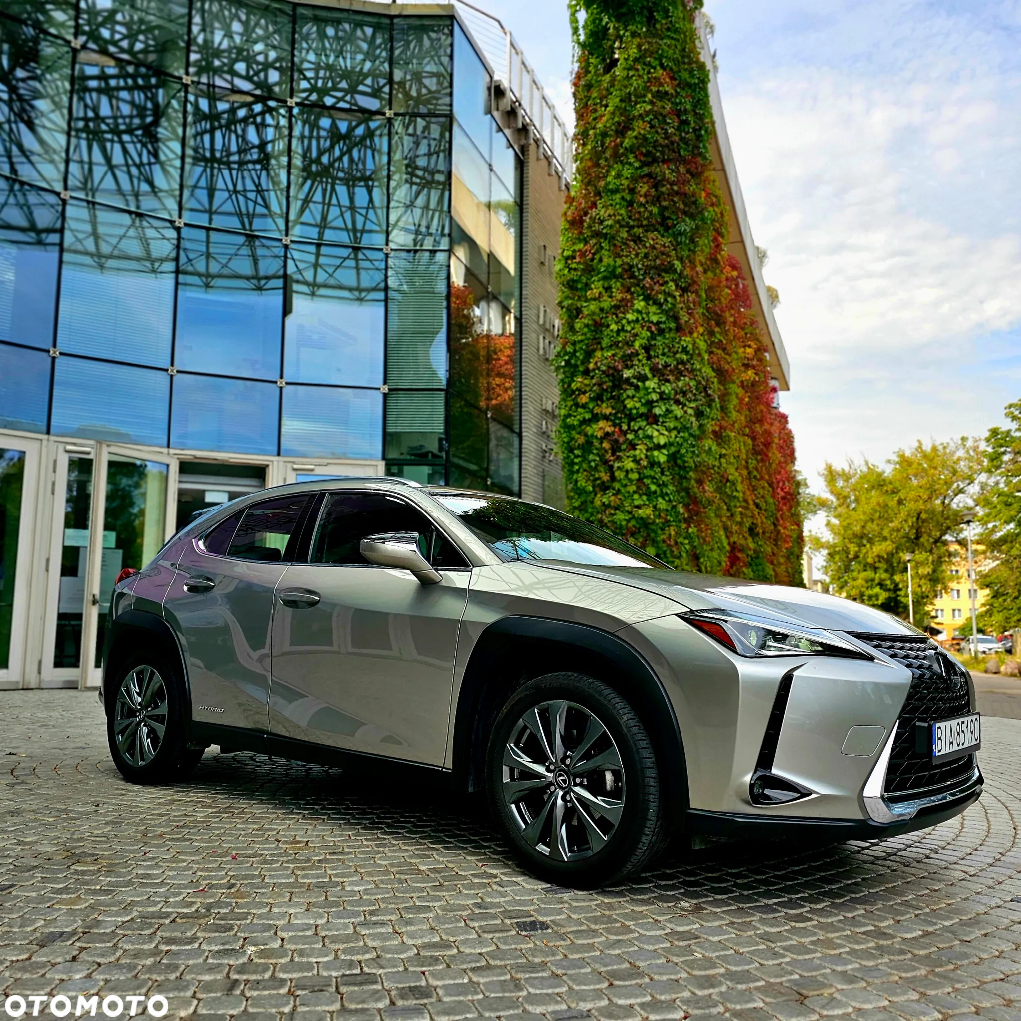 Lexus UX 250h GPF Elegance 2WD - 8