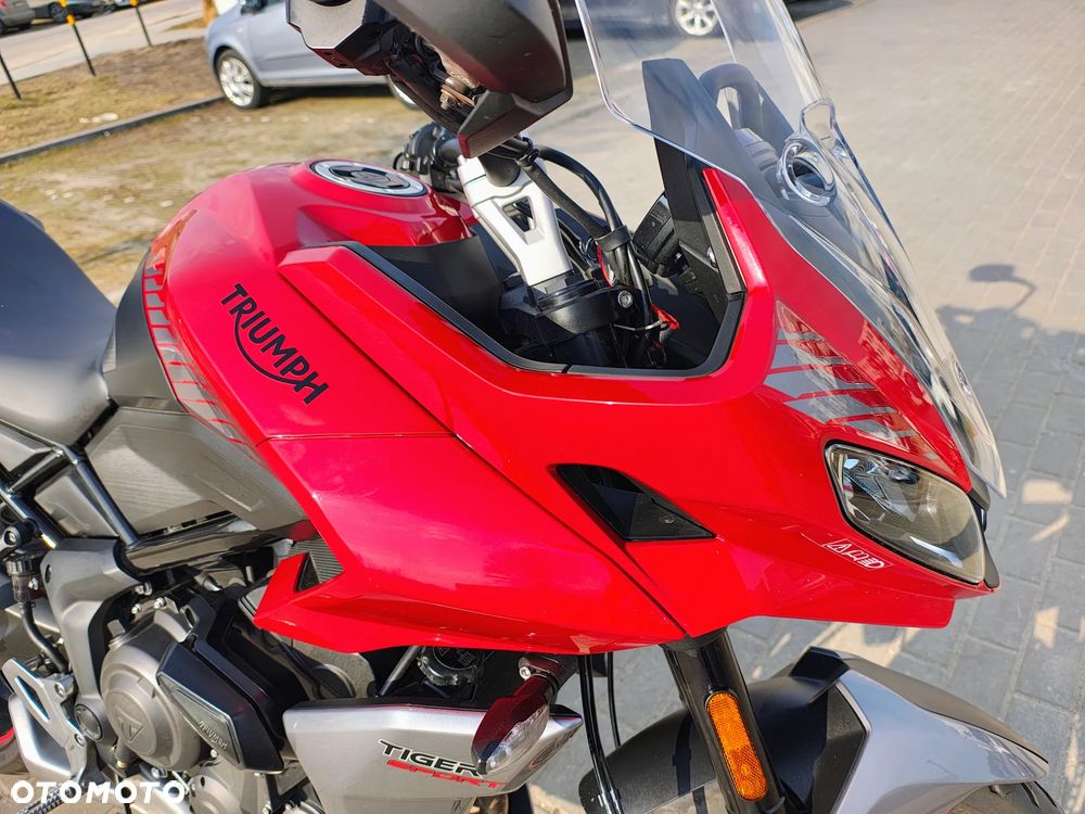 Triumph Tiger - 17
