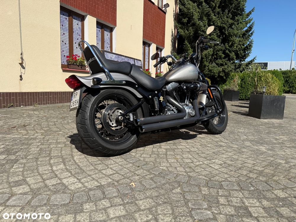 Harley-Davidson Softail Cross Bones - 3