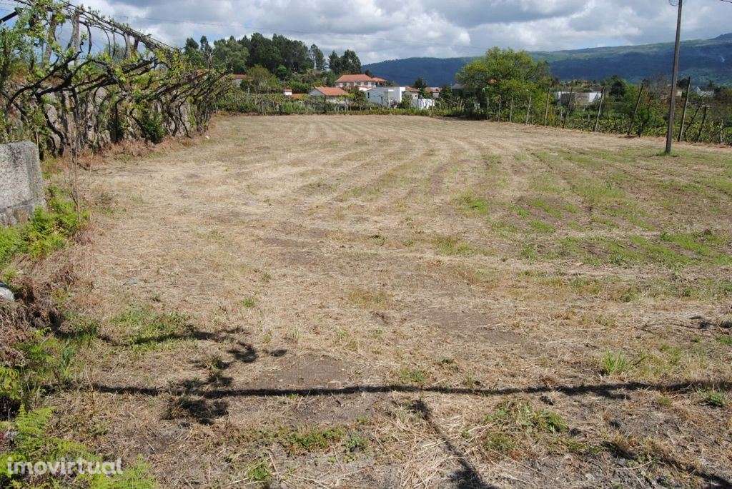 Magnifica quinta situada em Amarante - Grande imagem: 3/16