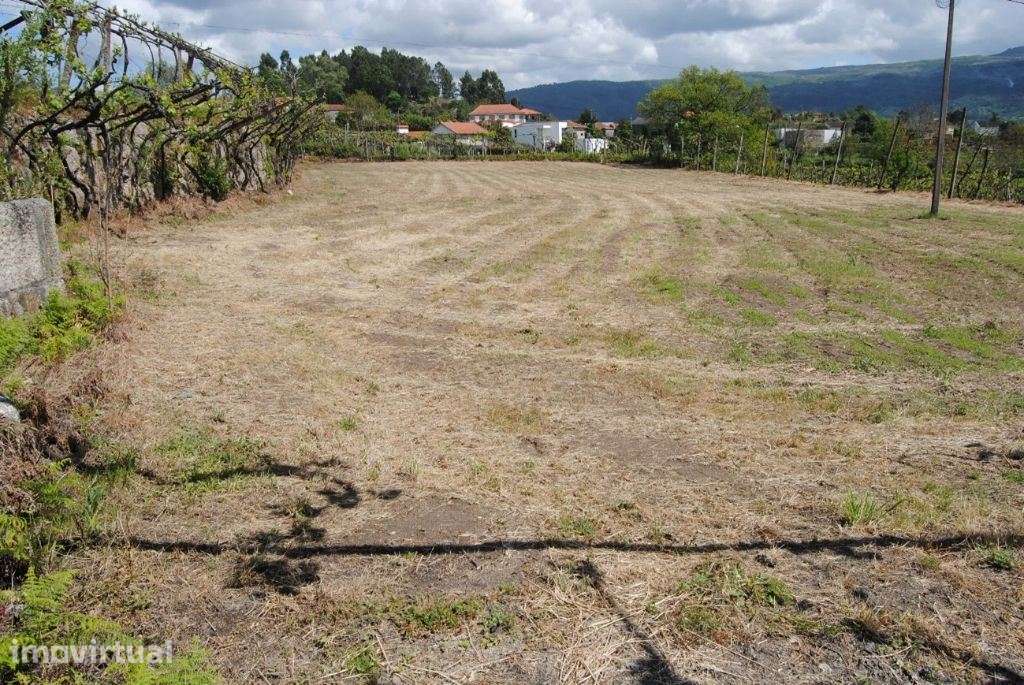 Magnifica quinta situada em Amarante - Grande imagem: 3/16
