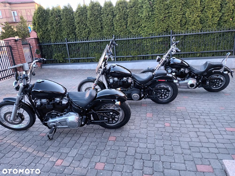 Harley-Davidson Softail Standard - 15