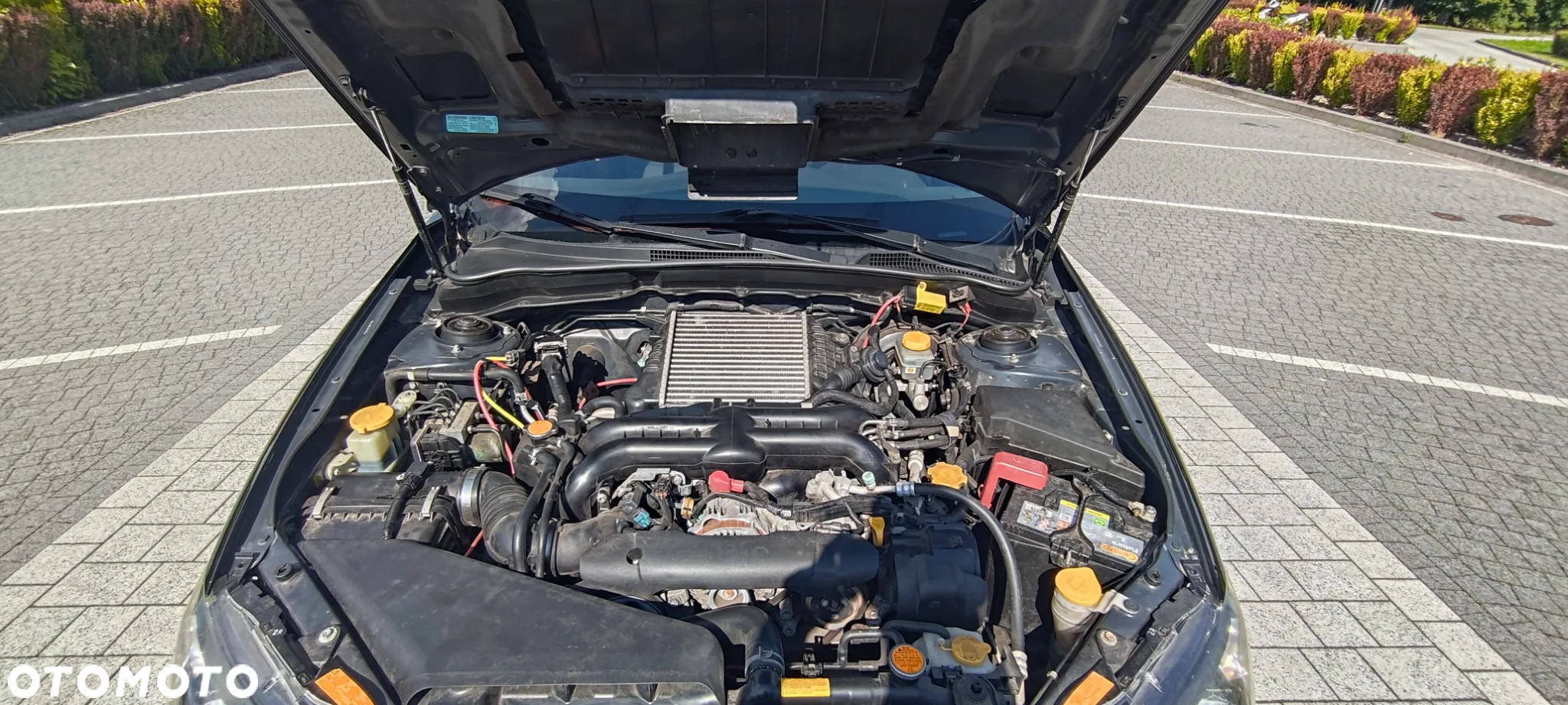 Subaru Impreza 2.5 WRX/WR - 7