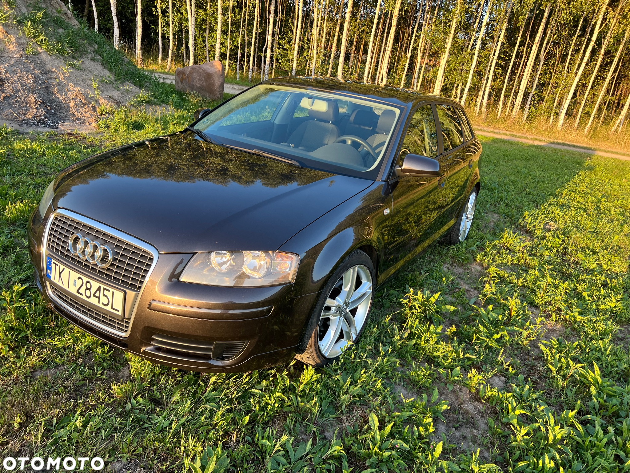 Audi A3 1.6 Sportback Ambiente - 3