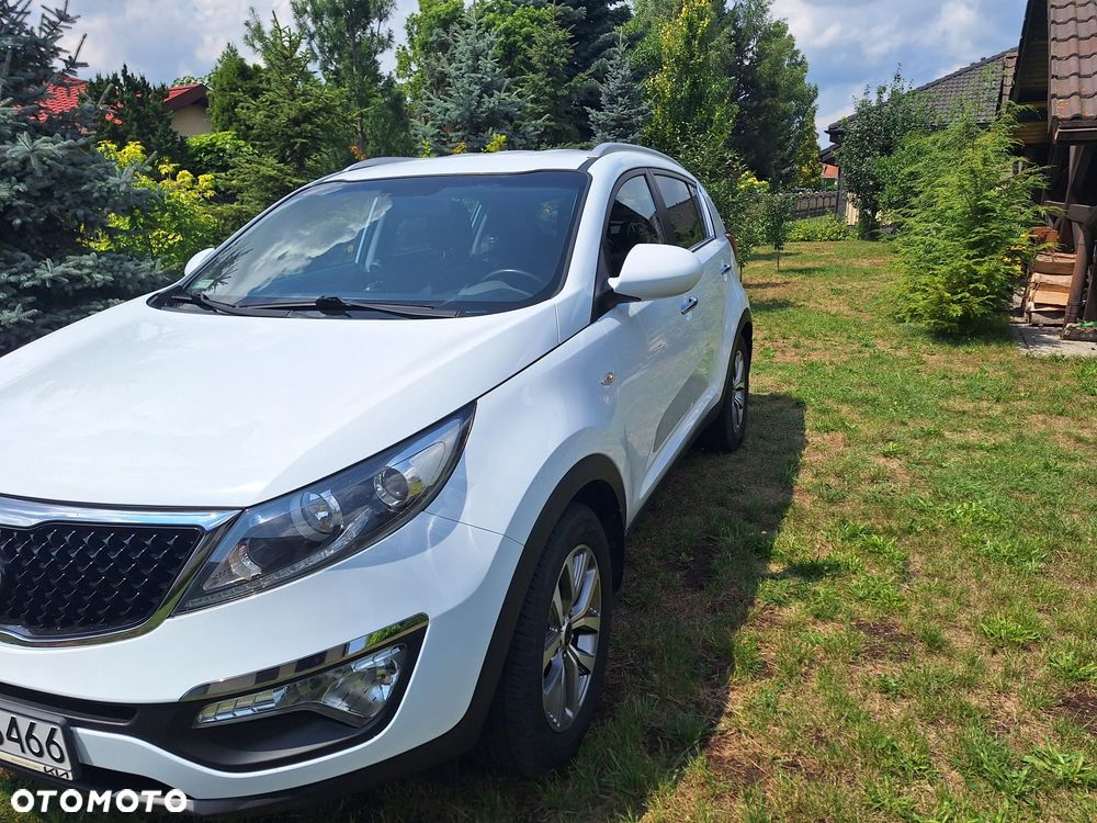 Kia Sportage 1.6 GDI Business Line 2WD - 21