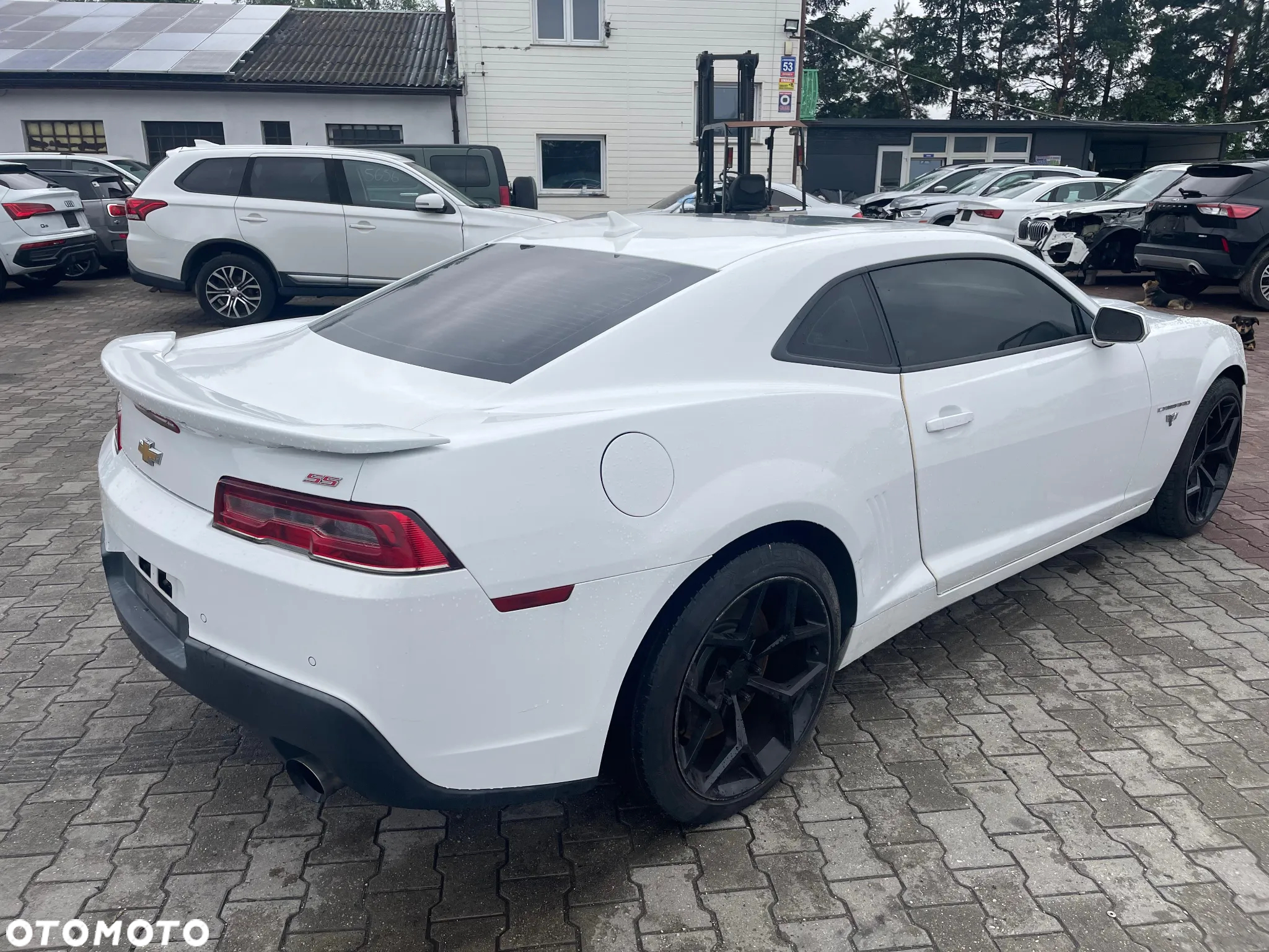 Chevrolet Camaro Coupe 6.2 V8 - 5