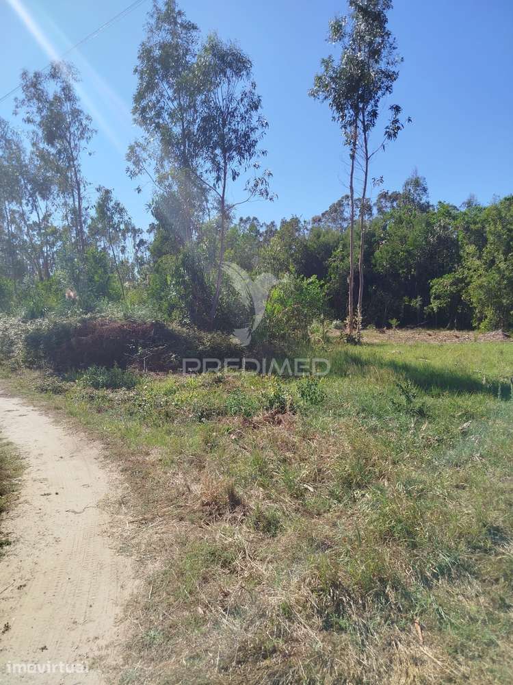 Terreno perto da Ria - Grande imagem: 4/7