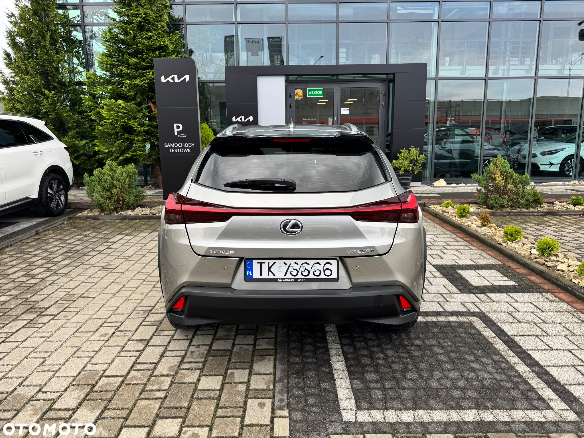 Lexus UX - 6