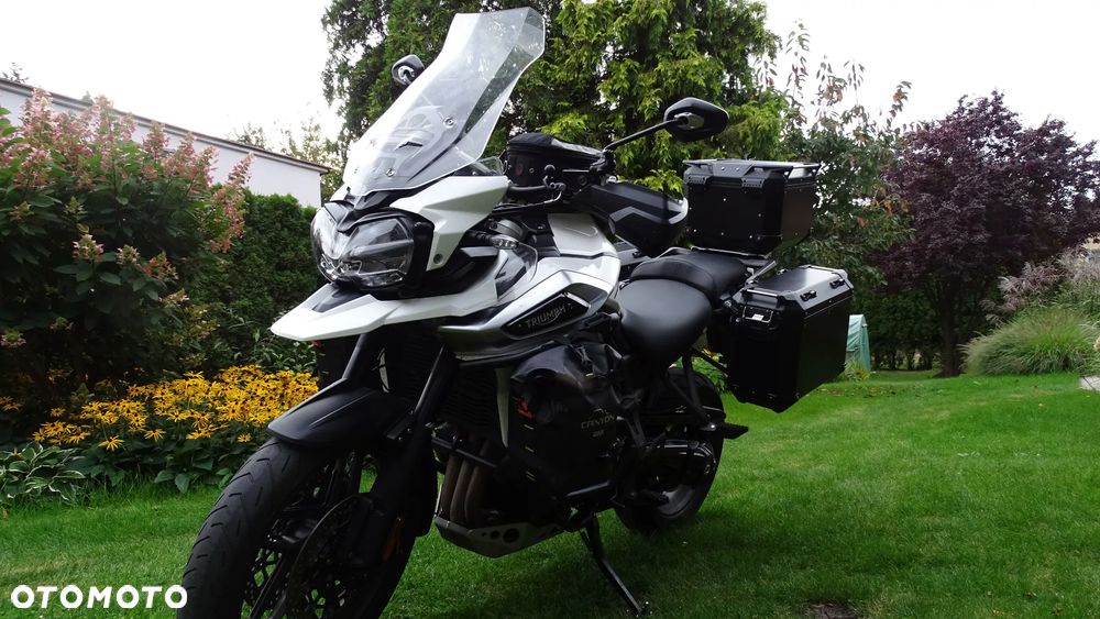 Triumph Tiger - 13