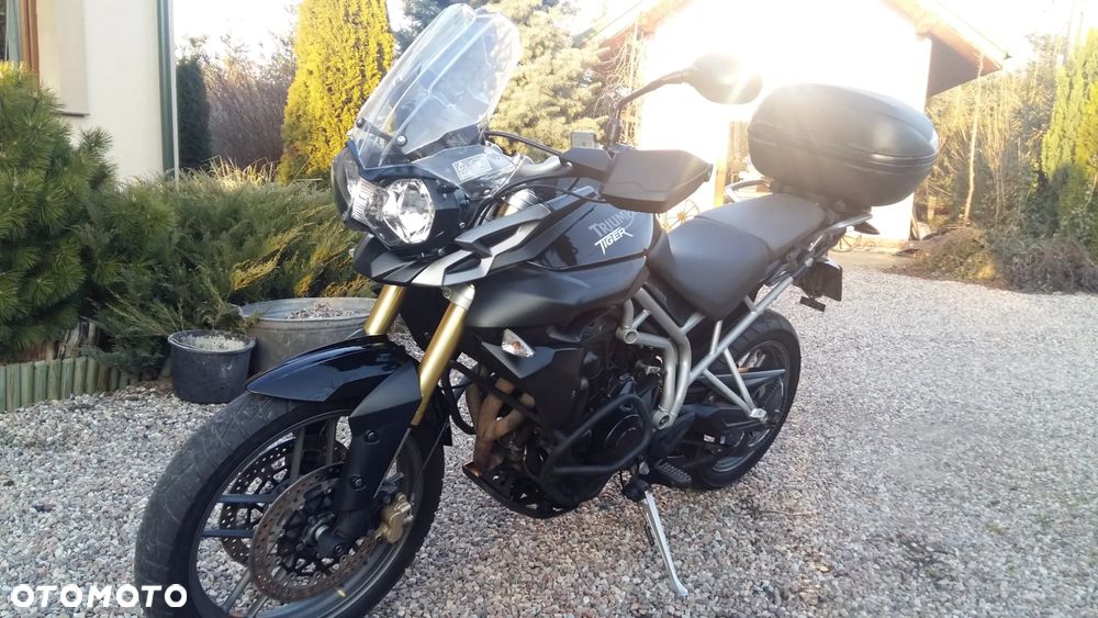 Triumph Tiger - 2