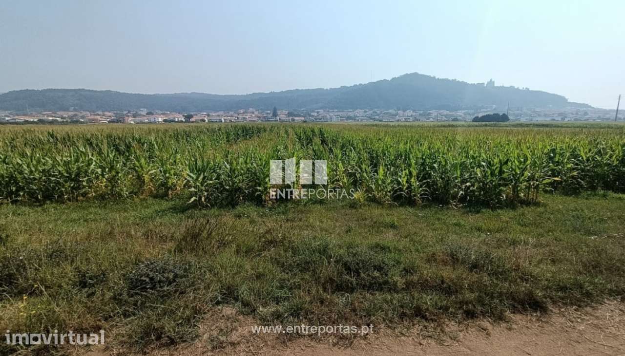 Venda de terreno agrícola com 7890m², Areosa, Viana do Castelo - Grande imagem: 2/21