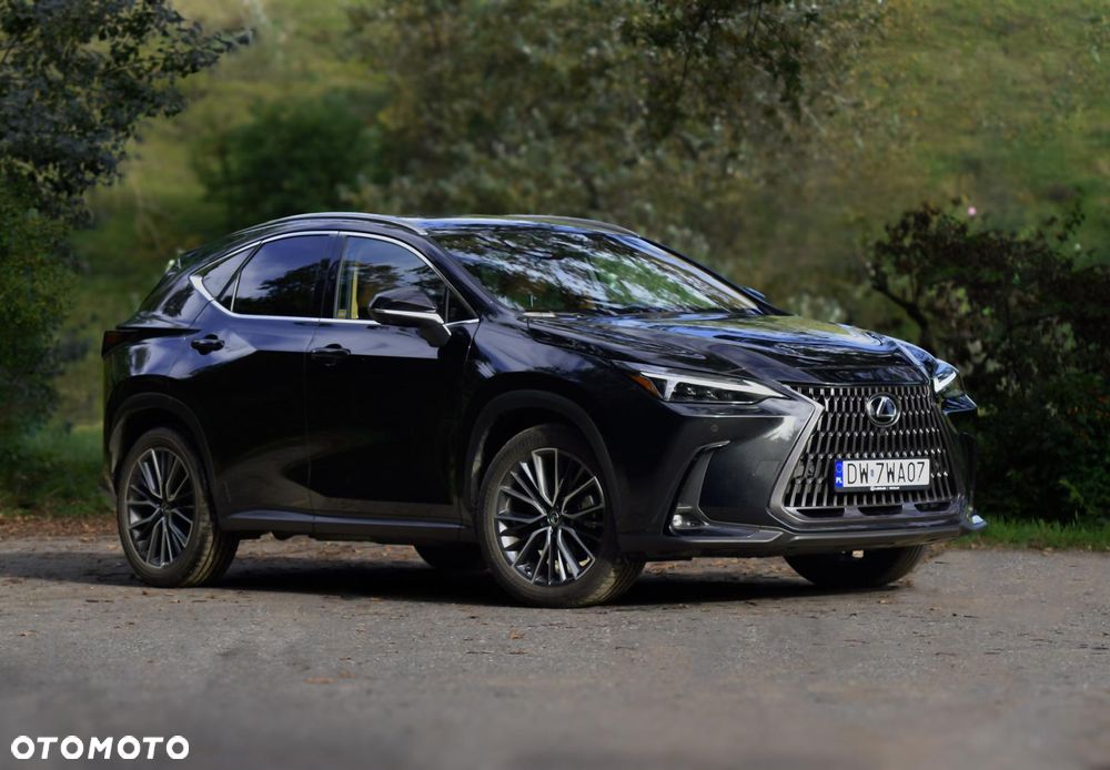 Lexus NX 350h Omotenashi AWD - 1