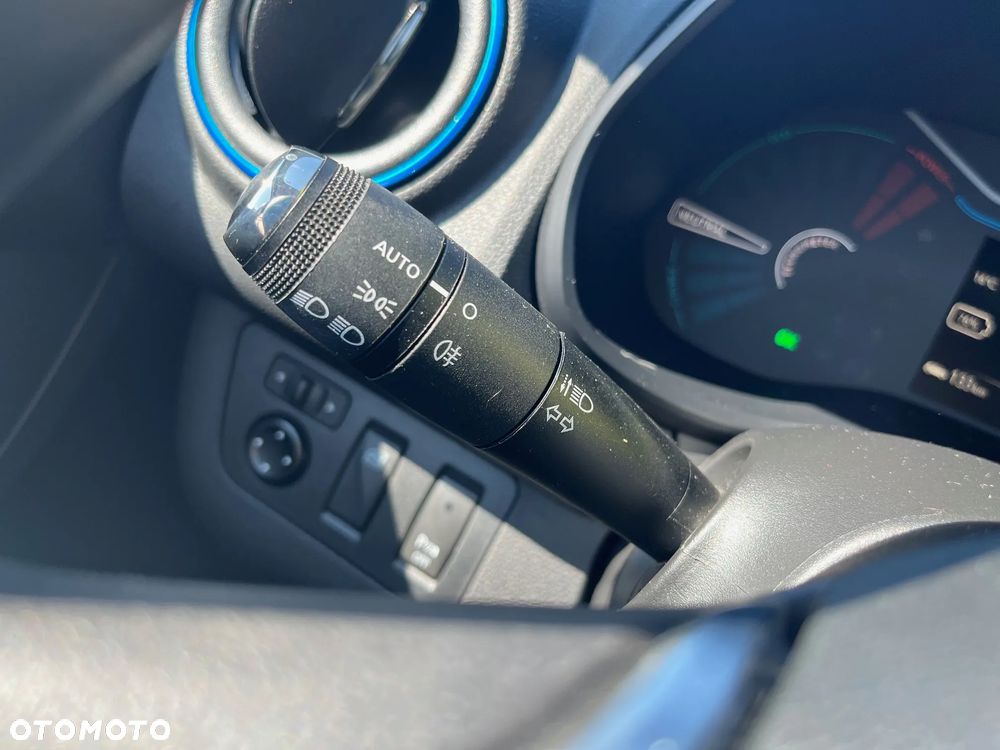 Dacia Spring Business - 19