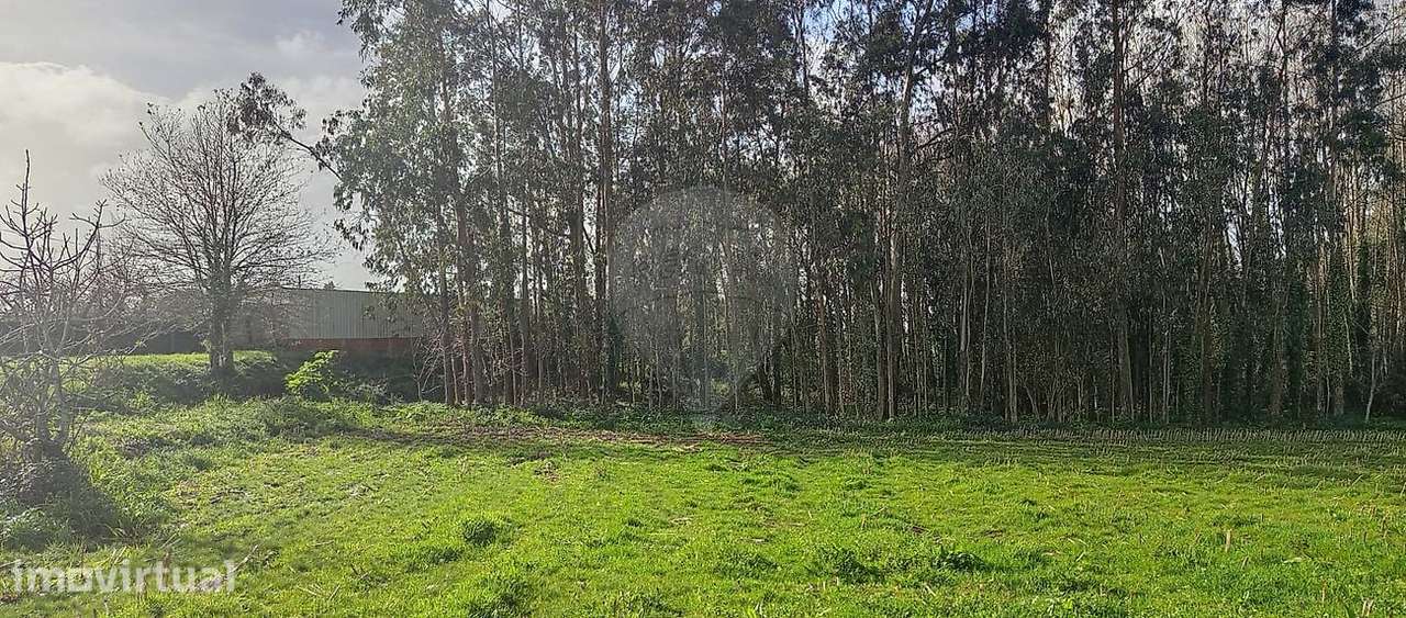 Terreno  para venda - Grande imagem: 4/6