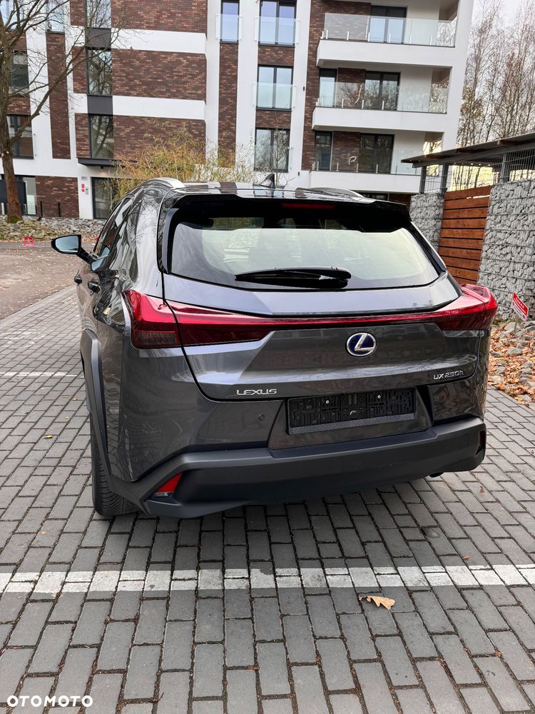 Lexus UX - 11