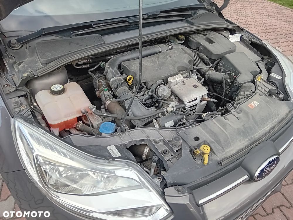 Ford Focus - 13