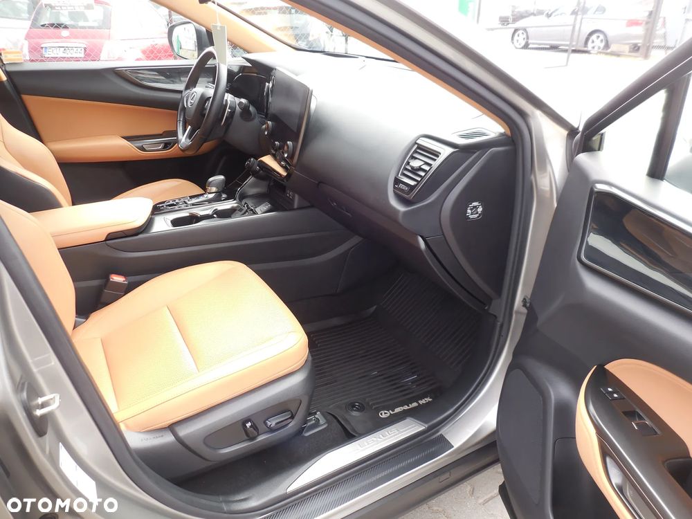 Lexus NX - 10