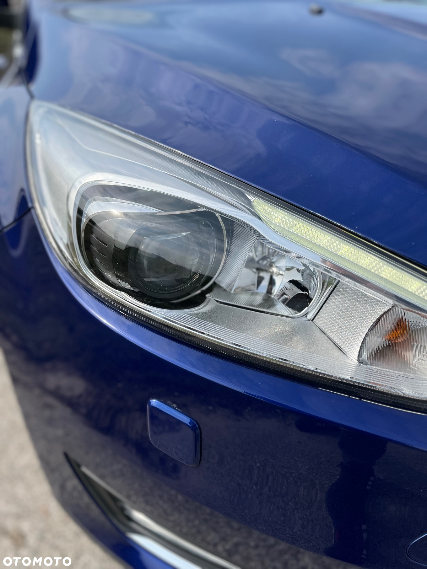 Ford Focus 1.5 EcoBoost Titanium ASS - 13