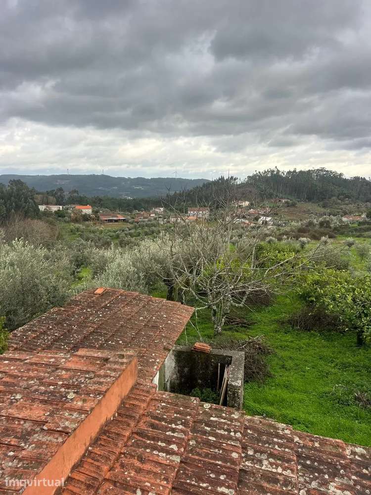 Moradia Renovada T3 com Terreno e Árvores de Fruto – Alvaiázere - Grande imagem: 5/14