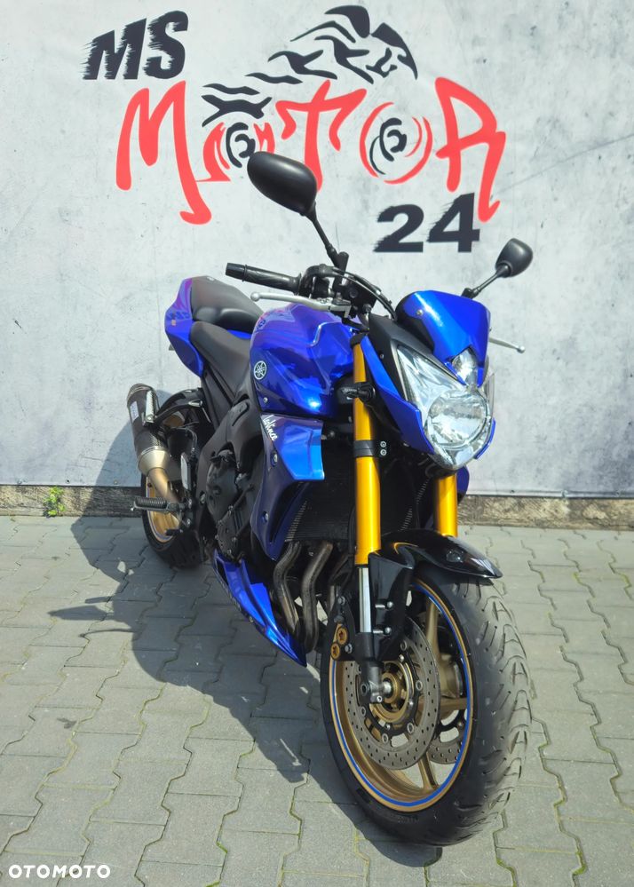 Yamaha FZ8 - 3