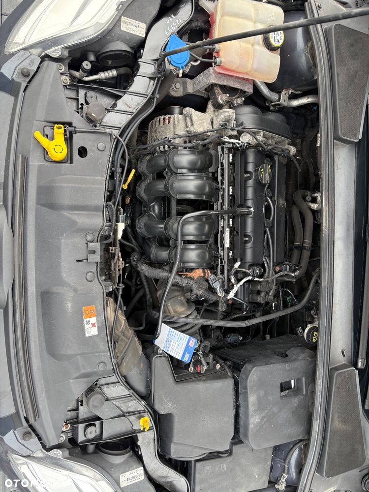 Ford Focus 1.6 TI-VCT Trend - 20