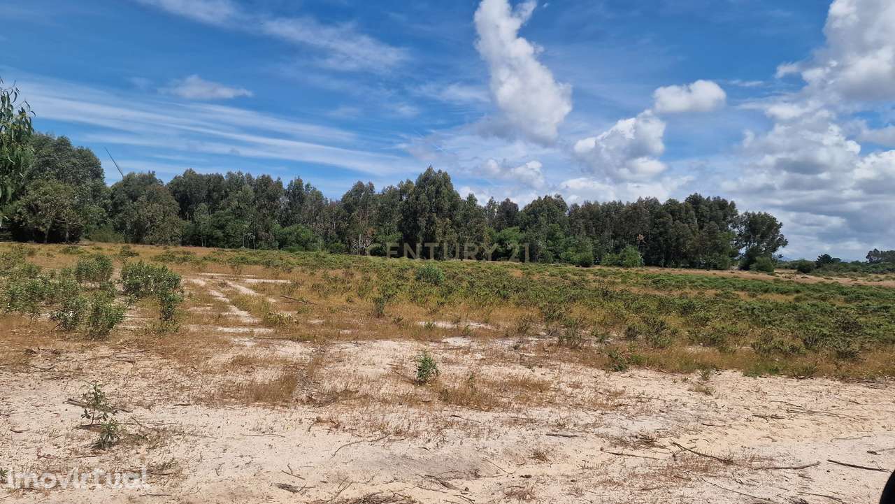Terreno Rustico com 5000m2 em Vila do Bispo - Grande imagem: 5/7